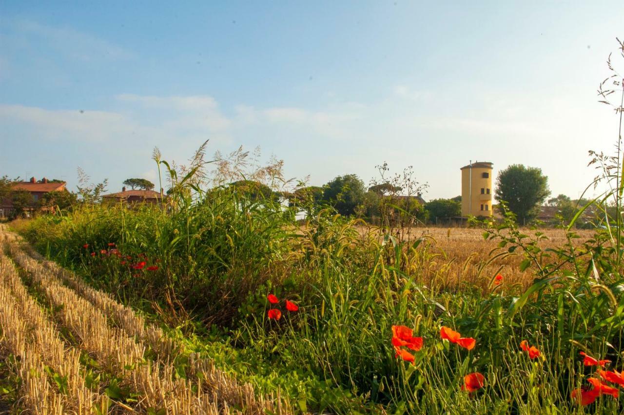 Il Silos マッカレーゼ エクステリア 写真