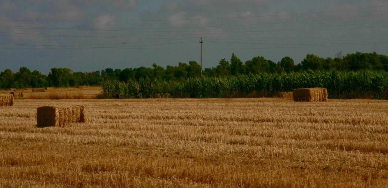 Il Silos マッカレーゼ エクステリア 写真